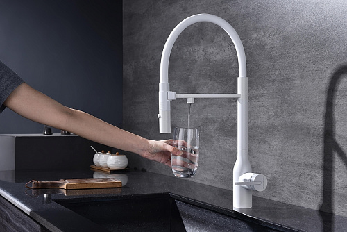 Смеситель для кухни Paulmark Magneto One белый Ma213188-WH Смеситель для кухни Paulmark Magneto One белый Ma213188-WH