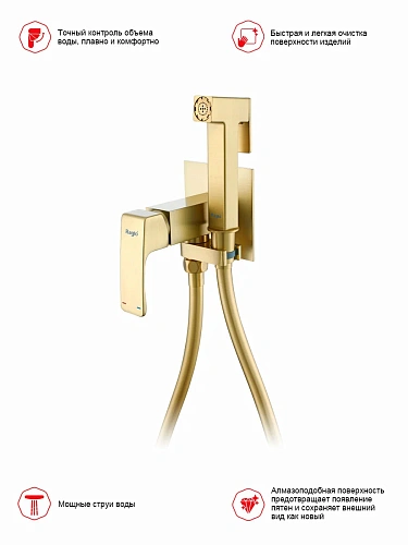 Гигиенический душ Raglo R02.54.03 встраиваемый, сатин золотой Гигиенический душ Raglo R02.54.03 встраиваемый, сатин золотой