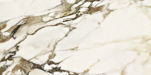 Керамогранит Neodom Matt Calacatta Venato Satin 60x120 N20374 Керамогранит Neodom Matt Calacatta Venato Satin 60x120 N20374