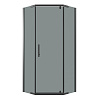 Картинка анонса товара «душевой уголок niagara eco ng-1010-14dt (100x100x190) трапеция, распаш, профиль черный, стекло тонированное (4мм)»