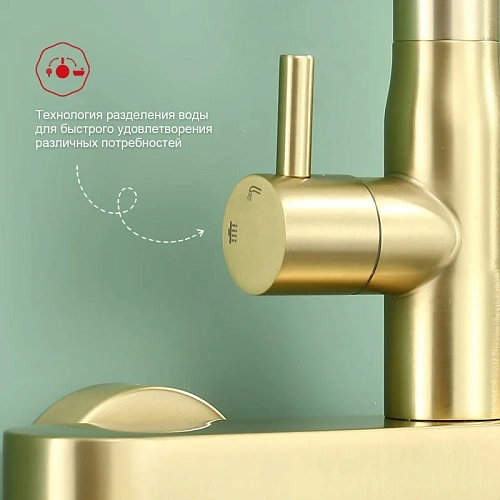 Душевая система Raglo R10.24.03, сатин золотой Душевая система Raglo R10.24.03, сатин золотой