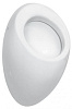 Картинка анонса товара «писсуар laufen alessi 4097.1 (8.4097.1.400.000.1) c крышкой»