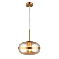 Светильник подвесной Aployt Gabriela APL.305.16.01 Светильник подвесной Aployt Gabriela APL.305.16.01