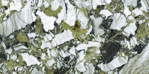 Керамогранит Neodom Belvedere Garden Green Polished 60x120 N40008 Керамогранит Neodom Belvedere Garden Green Polished 60x120 N40008