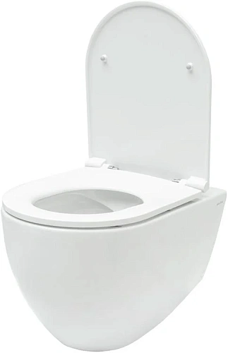 Комплект унитаза Allen Brau Reality 4.32006.20/8.9466.0.000.000.1 (00316510) с инсталляцией, белый глянец Комплект унитаза Allen Brau Reality 4.32006.20/8.9466.0.000.000.1 (00316510) с инсталляцией, белый глянец