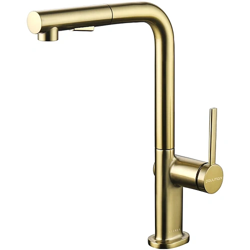 Смеситель для кухни Paulmark Neo брашированное золото Ne214419-BG Смеситель для кухни Paulmark Neo брашированное золото Ne214419-BG