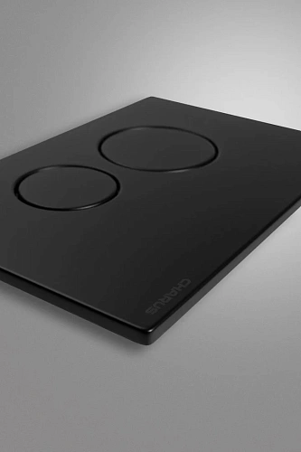 Клавиша смыва CHARUS ROBUSTO FP.330.MB.05 черный матовый Клавиша смыва CHARUS ROBUSTO FP.330.MB.05 черный матовый