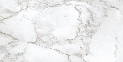 Керамогранит Neodom Ambassador Arabescato 60x120 CV20193 Керамогранит Neodom Ambassador Arabescato 60x120 CV20193