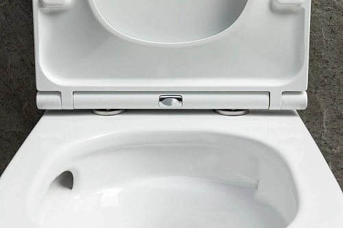 Унитаз подвесной Allen Brau Priority Tornado 4.31009.20 без сиденья белый глянец Унитаз подвесной Allen Brau Priority Tornado 4.31009.20 без сиденья белый глянец