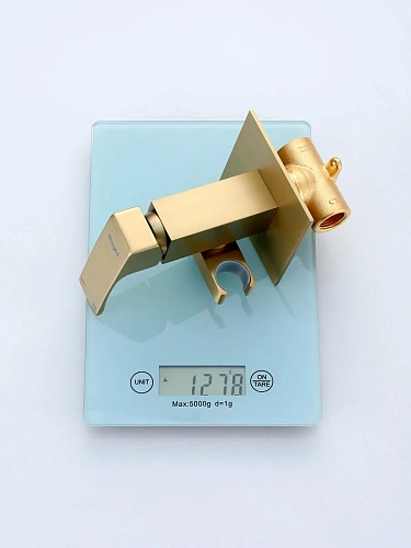 Гигиенический душ Raglo R02.54.03 встраиваемый, сатин золотой Гигиенический душ Raglo R02.54.03 встраиваемый, сатин золотой