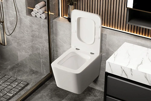 Унитаз подвесной ABBER Rechteck AC1201MW белый матовый, безободковый с крышкой микролифт Унитаз подвесной ABBER Rechteck AC1201MW белый матовый, безободковый с крышкой микролифт