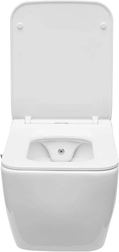 Унитаз подвесной Allen Brau Liberty 4.33009.20 с крышкой, белый Унитаз подвесной Allen Brau Liberty 4.33009.20 с крышкой, белый