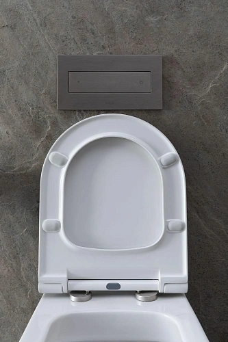 Комплект унитаза Allen Brau Priority 4.31002.20/8.9466.0.000.000.1 (00316509) с инсталляцией, белый глянец Комплект унитаза Allen Brau Priority 4.31002.20/8.9466.0.000.000.1 (00316509) с инсталляцией, белый глянец