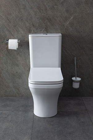 Чаша напольного унитаза Allen Brau Infinity 4.21012.20 с крышкой, белый глянец