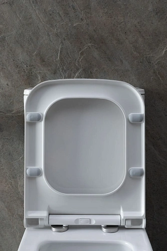 Чаша напольного унитаза Allen Brau Infinity 4.21012.20 с крышкой, белый глянец Чаша напольного унитаза Allen Brau Infinity 4.21012.20 с крышкой, белый глянец