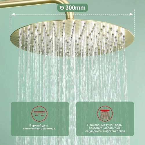 Душевая система Raglo R10.24.03, сатин золотой Душевая система Raglo R10.24.03, сатин золотой