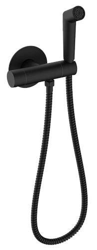 Гигиенический душ Raglo R23.56.06 встраиваемый с термостатом, черный Гигиенический душ Raglo R23.56.06 встраиваемый с термостатом, черный