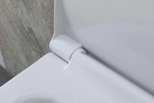 Комплект унитаза Allen Brau Priority 4.31002.20/8.9466.0.000.000.1 (00316509) с инсталляцией, белый глянец Комплект унитаза Allen Brau Priority 4.31002.20/8.9466.0.000.000.1 (00316509) с инсталляцией, белый глянец