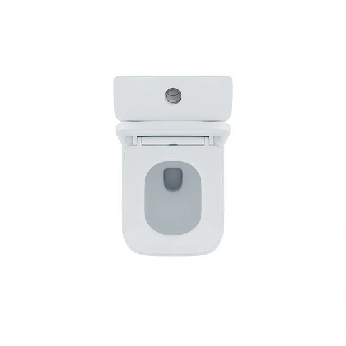 Унитаз напольный IDDIS Torr (TORRDSEi24) безободковый Унитаз напольный IDDIS Torr (TORRDSEi24) безободковый