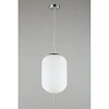 Светильник подвесной Aployt Mattia APL.316.26.01 Светильник подвесной Aployt Mattia APL.316.26.01