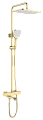 Душевая система Raglo R22.26.03, золотой сатин Душевая система Raglo R22.26.03, золотой сатин