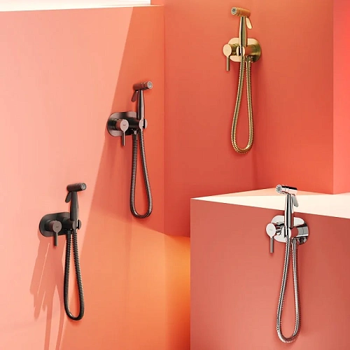 Гигиенический душ Raglo R20.52 встраиваемый, хром Гигиенический душ Raglo R20.52 встраиваемый, хром