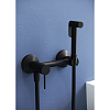 Гигиенический душ RGW Shower Panels SP-215B черный Гигиенический душ RGW Shower Panels SP-215B черный