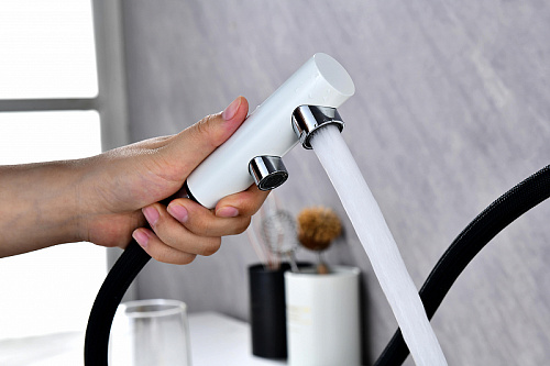 Смеситель для кухни Paulmark SERPENTINE белый матовый Se213222-WH Смеситель для кухни Paulmark SERPENTINE белый матовый Se213222-WH