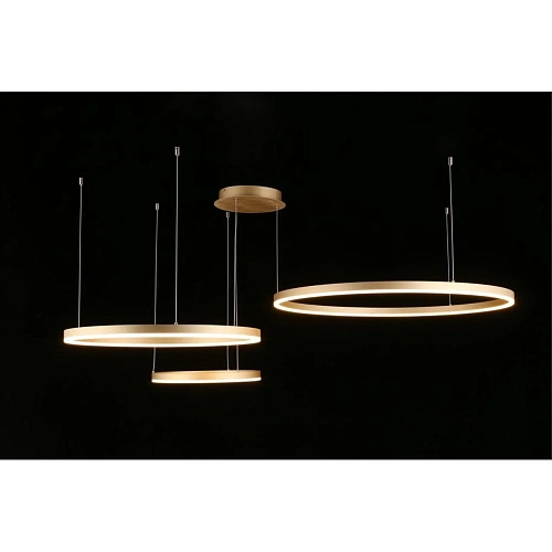 Люстра подвесная Aployt Terenia APL.024.03.136 Люстра подвесная Aployt Terenia APL.024.03.136