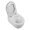 Унитаз подвесной BelBagno SOFT-TOR BB084CH-TOR/BB2031SC безободковый с сиденьем Унитаз подвесной BelBagno SOFT-TOR BB084CH-TOR/BB2031SC безободковый с сиденьем