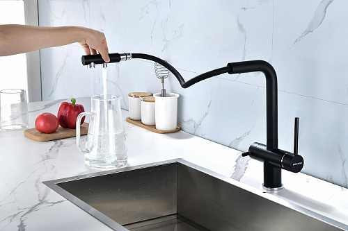 Смеситель для кухни Paulmark SERPENTINE антрацит Se213222-AN Смеситель для кухни Paulmark SERPENTINE антрацит Se213222-AN