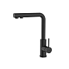Смеситель для кухни Iddis Rule (RULBLLFi05) с фильтром черный матовый