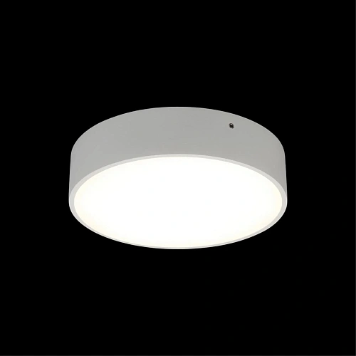 Светильник настенно-потолочный Aployt Evon APL.0114.09.18 Светильник настенно-потолочный Aployt Evon APL.0114.09.18