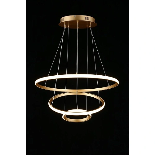 Люстра подвесная Aployt Janina APL.018.13.60 Люстра подвесная Aployt Janina APL.018.13.60