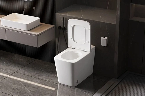 Унитаз приставной ABBER Rechteck AC1213P белый с импульсным смывом с крышкой микролифт Унитаз приставной ABBER Rechteck AC1213P белый с импульсным смывом с крышкой микролифт