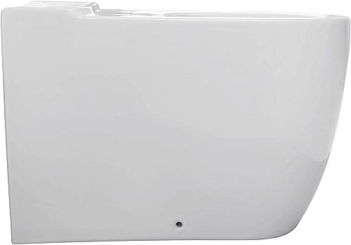 Чаша напольного унитаза Allen Brau Priority 4.31003.20 с крышкой, белый Чаша напольного унитаза Allen Brau Priority 4.31003.20 с крышкой, белый