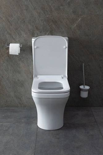 Чаша напольного унитаза Allen Brau Infinity 4.21012.20 с крышкой, белый глянец Чаша напольного унитаза Allen Brau Infinity 4.21012.20 с крышкой, белый глянец