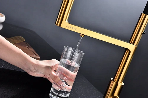 Смеситель для кухни Paulmark Tornado брашированное золото To213402-BG Смеситель для кухни Paulmark Tornado брашированное золото To213402-BG