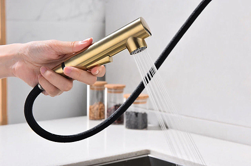 Смеситель для кухни Paulmark Neo брашированное золото Ne214419-BG Смеситель для кухни Paulmark Neo брашированное золото Ne214419-BG