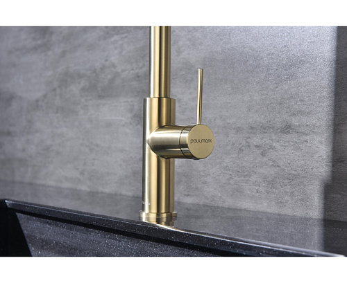 Смеситель для кухни Paulmark GALANT Ga213077-LG светлое золото Смеситель для кухни Paulmark GALANT Ga213077-LG светлое золото
