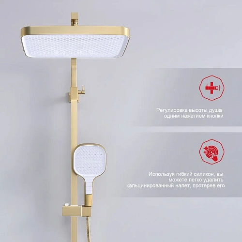 Душевая система Raglo R51.24.03, золотой сатин Душевая система Raglo R51.24.03, золотой сатин