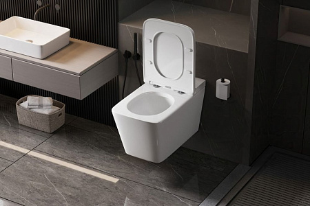 Унитаз подвесной ABBER Rechteck AC1202P белый с импульсным смывом с крышкой микролифт Унитаз подвесной ABBER Rechteck AC1202P белый с импульсным смывом с крышкой микролифт