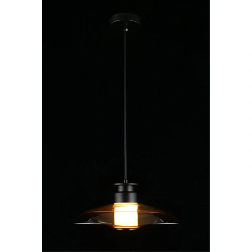 Светильник подвесной Aployt Stefa APL.648.16.10 Светильник подвесной Aployt Stefa APL.648.16.10