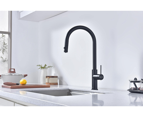 Смеситель для кухни Paulmark Galant антрацит Ga213077-AN Смеситель для кухни Paulmark Galant антрацит Ga213077-AN