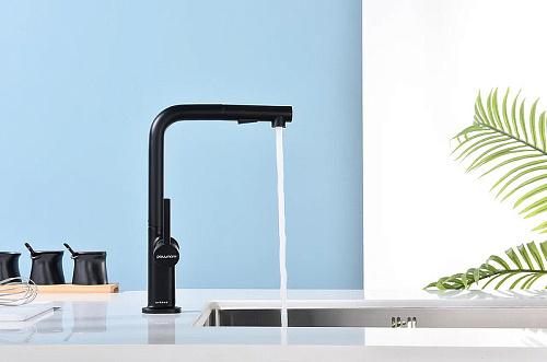 Смеситель для кухни Paulmark NEO антрацит Ne214419-AN Смеситель для кухни Paulmark NEO антрацит Ne214419-AN