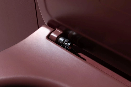 Унитаз подвесной Allen Brau Fantasy 4.11004.BD с крышкой, бордо Унитаз подвесной Allen Brau Fantasy 4.11004.BD с крышкой, бордо