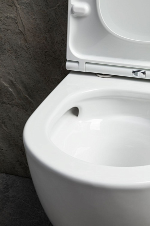 Унитаз подвесной Allen Brau Priority Tornado 4.31009.20 без сиденья белый глянец