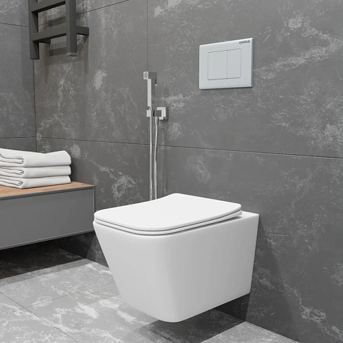 Унитаз подвесной CHARUS ALVA RIMLESS EWC700-114W безободковый, c легкосъемным сиденьем, с функцией микролифт Унитаз подвесной CHARUS ALVA RIMLESS EWC700-114W безободковый, c легкосъемным сиденьем, с функцией микролифт