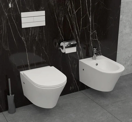 Унитаз подвесной Jacob Delafon Rodin EDY102-00 безободковый без сиденья Унитаз подвесной Jacob Delafon Rodin EDY102-00 безободковый без сиденья