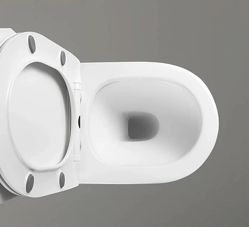 Унитаз напольный Ceruttispa ORLTER CT9867 безободковый белый, сиденье микролифт Унитаз напольный Ceruttispa ORLTER CT9867 безободковый белый, сиденье микролифт